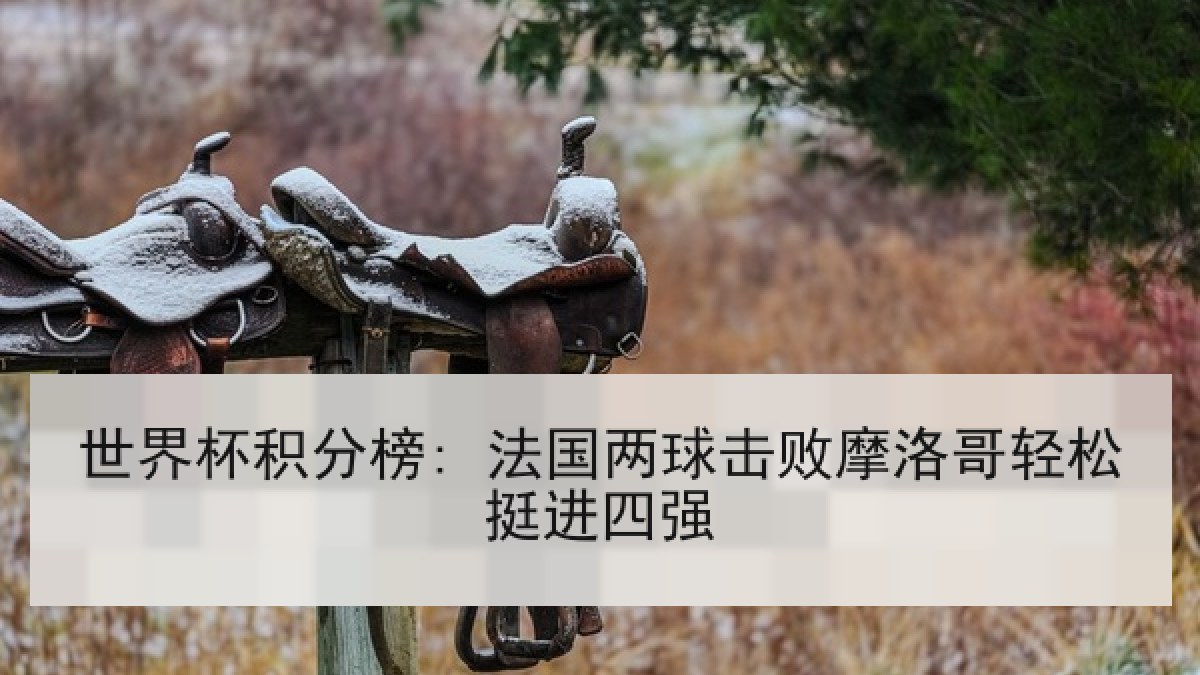 世界杯积分榜: 法国两球击败摩洛哥轻松挺进四强