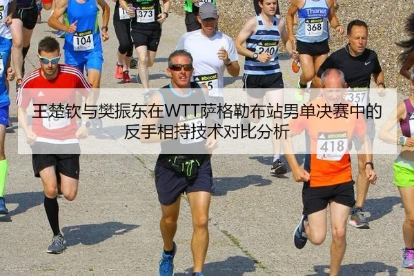王楚钦与樊振东在WTT萨格勒布站男单决赛中的反手相持技术对比分析