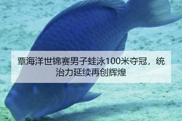 覃海洋世锦赛男子蛙泳100米夺冠，统治力延续再创辉煌