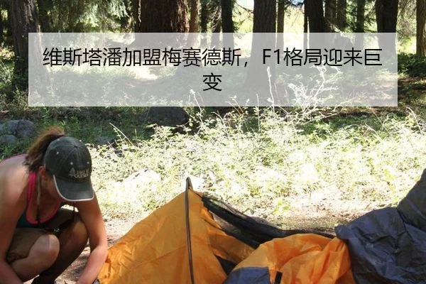 维斯塔潘加盟梅赛德斯，F1格局迎来巨变
