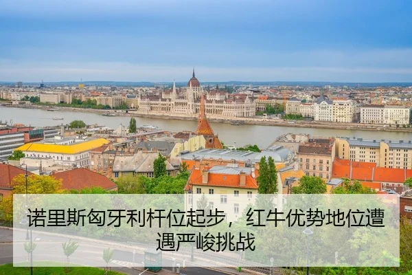 nuo-li-si-xiong-ya-li-gan-wei-qi-bu-hong-niu-you-shi-di-wei-zao-yu-yan-jun-tiao-zhan-2-421.jpg