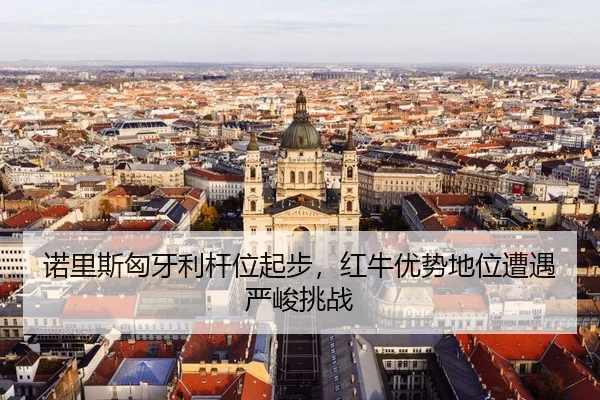 nuo-li-si-xiong-ya-li-gan-wei-qi-bu-hong-niu-you-shi-di-wei-zao-yu-yan-jun-tiao-zhan-3-635.jpg