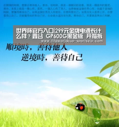 世界杯官方入口|299元金牌电源长什么样？鑫谷 GP600G
