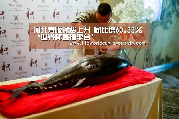 河北寿险保费上升 同比增60.33%‘世界杯直播平台’