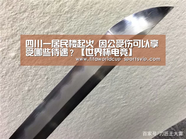 四川一居民楼起火 因公受伤可以享受哪些待遇？【世界杯电竞】