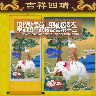 世界杯直播平台