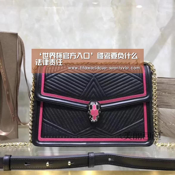 ‘世界杯官方入口’碰瓷要负什么法律责任(图4) 世界杯竞猜